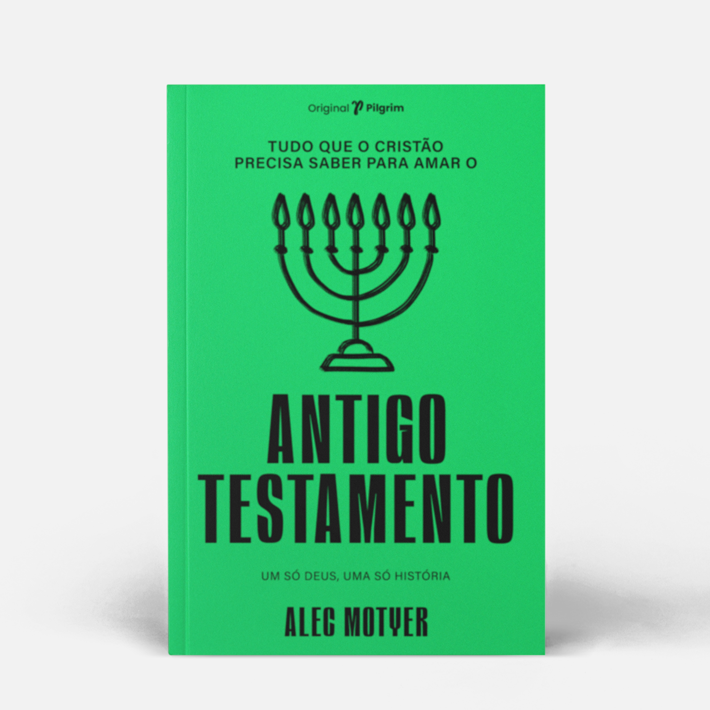 Tudo que o cristão precisa saber para amar o Antigo Testamento