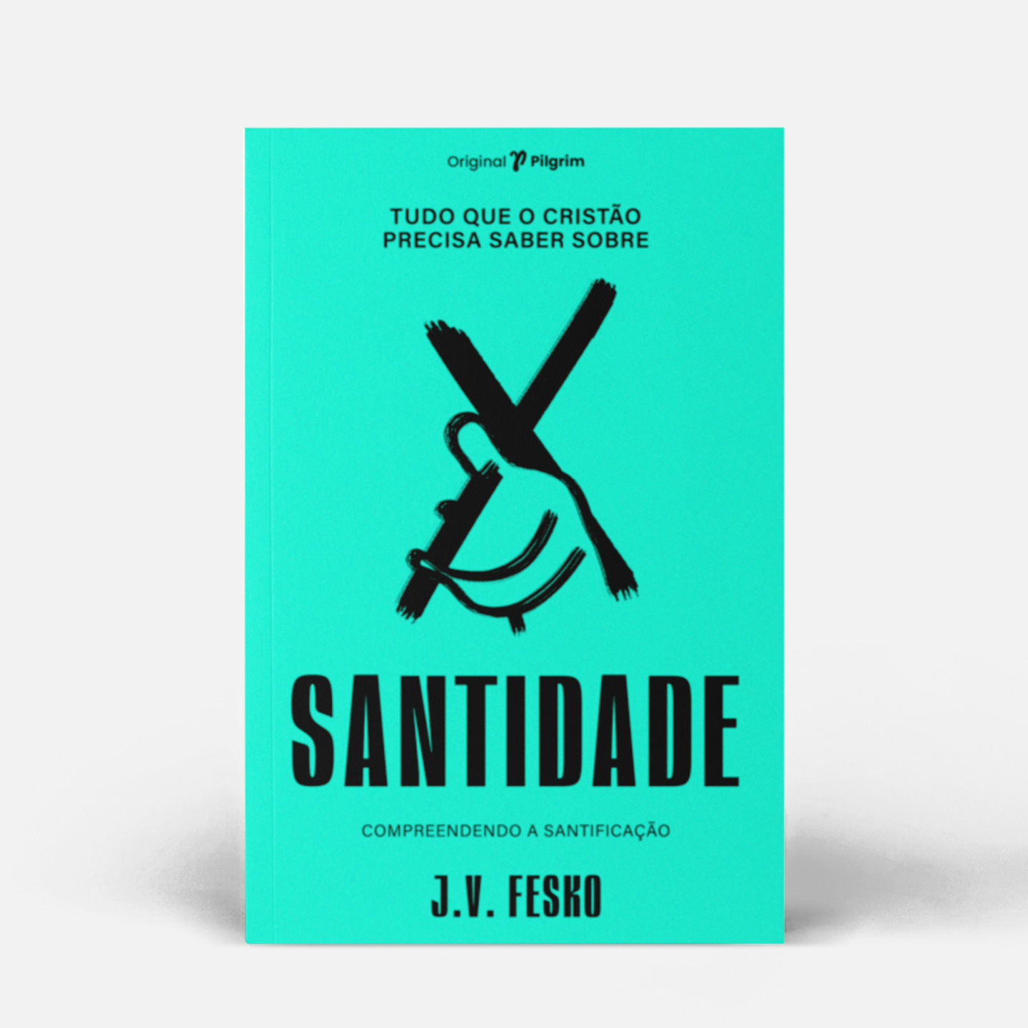 Tudo que o cristão precisa saber sobre santidade